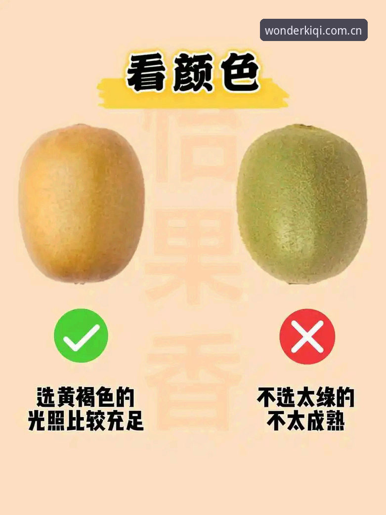 奇异果APP怎么用攻略：新手入门vs老手进阶，哪个更适合你？